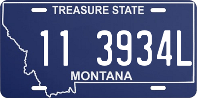 MT license plate 113934L