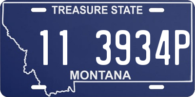 MT license plate 113934P