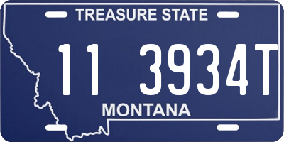 MT license plate 113934T
