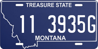 MT license plate 113935G