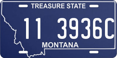 MT license plate 113936C
