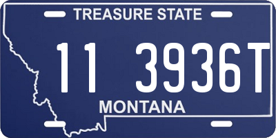 MT license plate 113936T