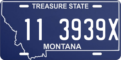 MT license plate 113939X
