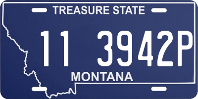 MT license plate 113942P