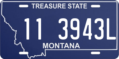 MT license plate 113943L