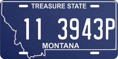 MT license plate 113943P