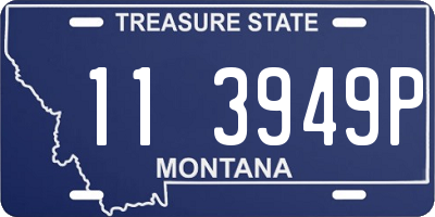 MT license plate 113949P