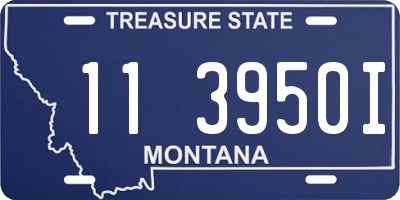 MT license plate 113950I