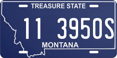 MT license plate 113950S