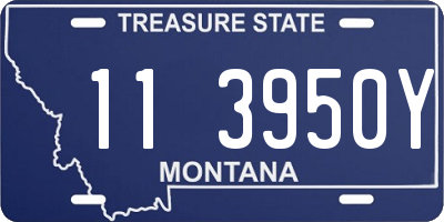 MT license plate 113950Y