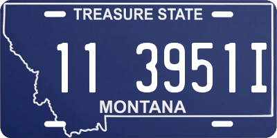 MT license plate 113951I