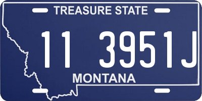MT license plate 113951J