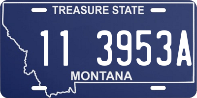 MT license plate 113953A