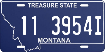 MT license plate 113954I