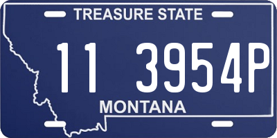MT license plate 113954P