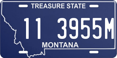 MT license plate 113955M