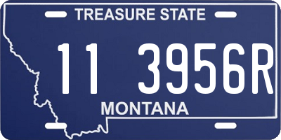 MT license plate 113956R