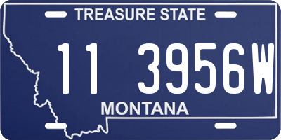 MT license plate 113956W