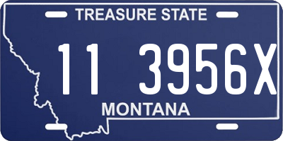 MT license plate 113956X