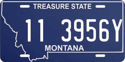 MT license plate 113956Y