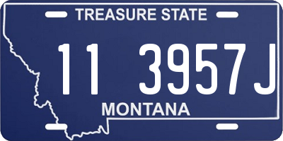 MT license plate 113957J