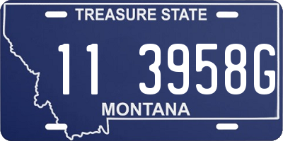 MT license plate 113958G