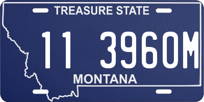 MT license plate 113960M