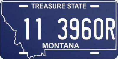 MT license plate 113960R
