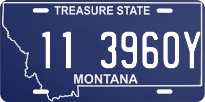 MT license plate 113960Y