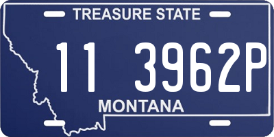 MT license plate 113962P