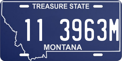 MT license plate 113963M