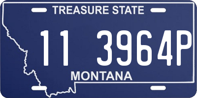 MT license plate 113964P