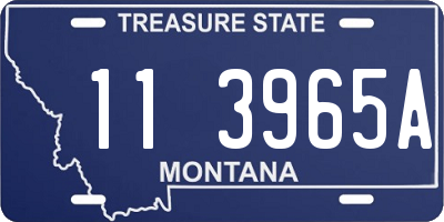 MT license plate 113965A