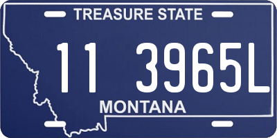 MT license plate 113965L