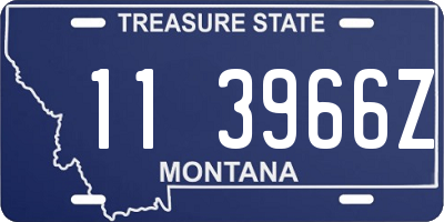 MT license plate 113966Z