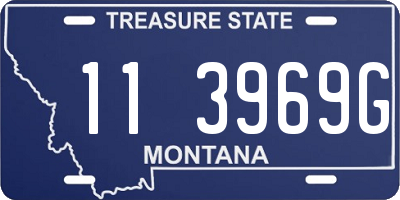 MT license plate 113969G