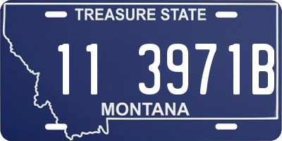 MT license plate 113971B