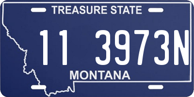 MT license plate 113973N