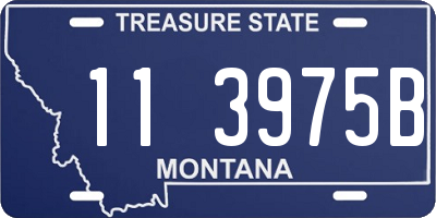 MT license plate 113975B