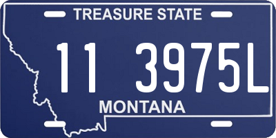 MT license plate 113975L