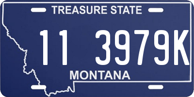 MT license plate 113979K