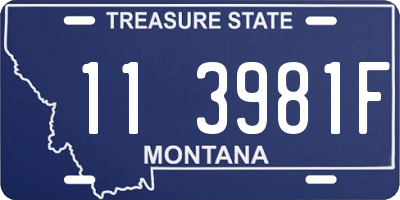 MT license plate 113981F