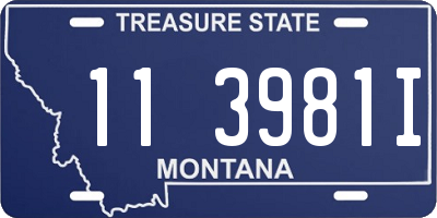 MT license plate 113981I