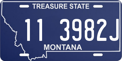 MT license plate 113982J
