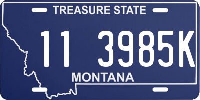 MT license plate 113985K
