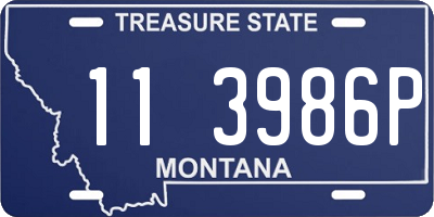 MT license plate 113986P