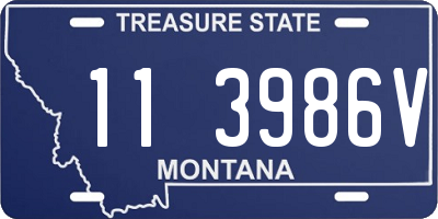 MT license plate 113986V