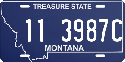 MT license plate 113987C