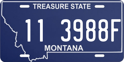 MT license plate 113988F