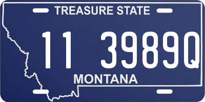 MT license plate 113989Q